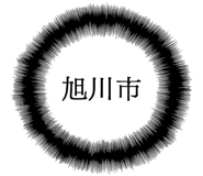 862502223
