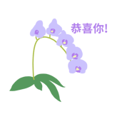 862502553