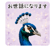 862503604