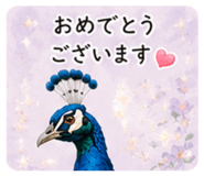 862503606