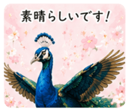 862503607
