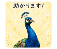 862503611