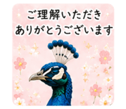 862503612