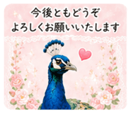 862503620
