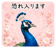 862503624