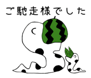 862504634