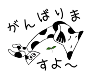 862504641