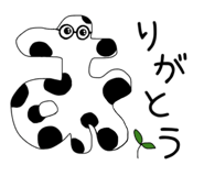 862504647