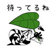 862504650