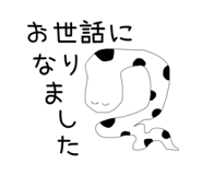 862504656