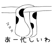 862504663