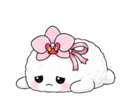 862505329