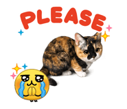 862506742