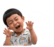 862509517