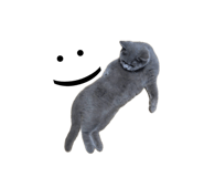 862521984