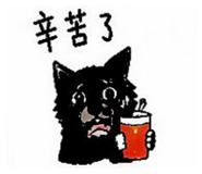 862525510