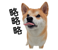 862526449