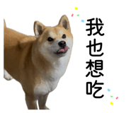 862526456