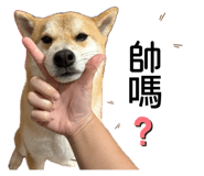 862526459
