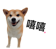 862526470