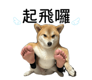 862526474