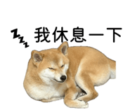 862526475