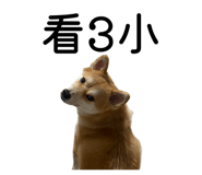 862526478