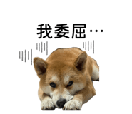 862526482