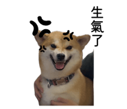 862526484