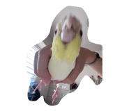 862529683