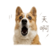 862530676