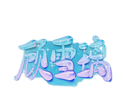 862530851