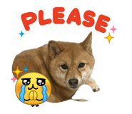 862532401