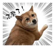 862532402
