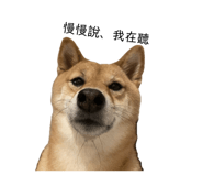 862532404
