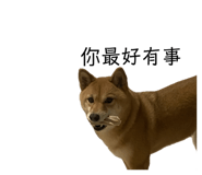 862532406