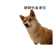 862532407