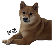 862532408