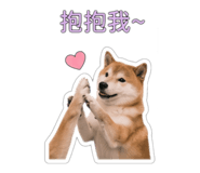 862534527