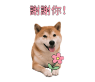 862534528