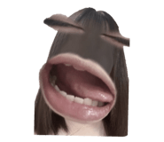 862540865