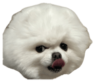 862540875