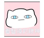 862541646