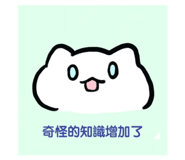 862541652