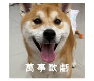 862543133