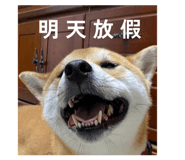862543139