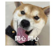 862543140