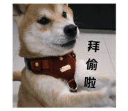 862543143