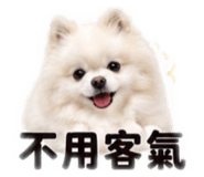 862543665
