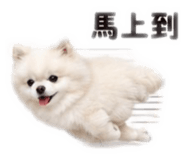 862543670